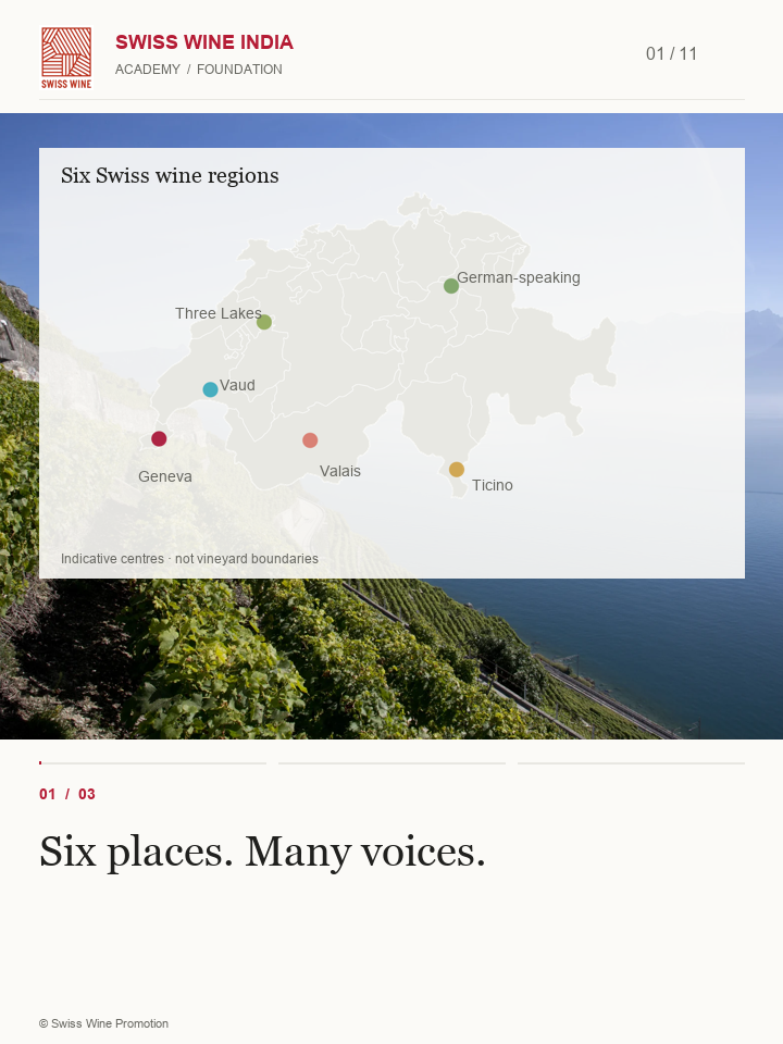 Actual Foundation film: Six Swiss wine regions