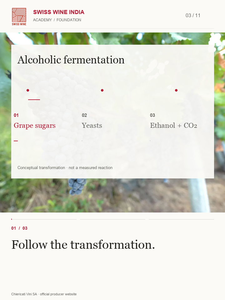 From vineyard decisions to the glass — lesson preview