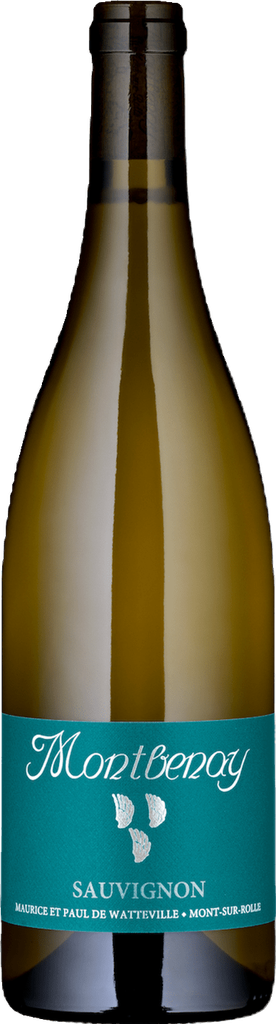 Sauvignon Amphore 2025