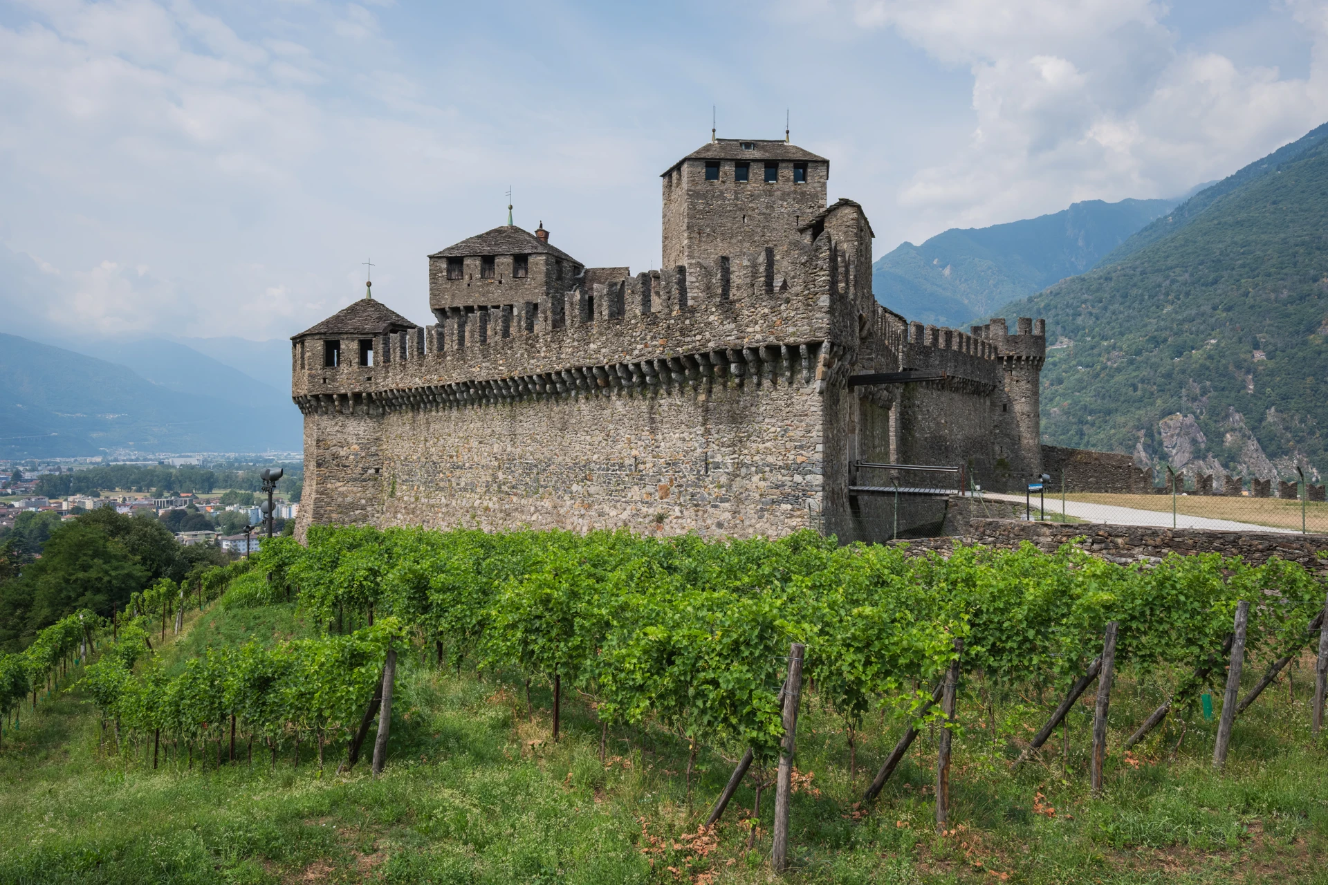Montebello Castle and vineyards in Bellinzona, Ticino, Switzerland