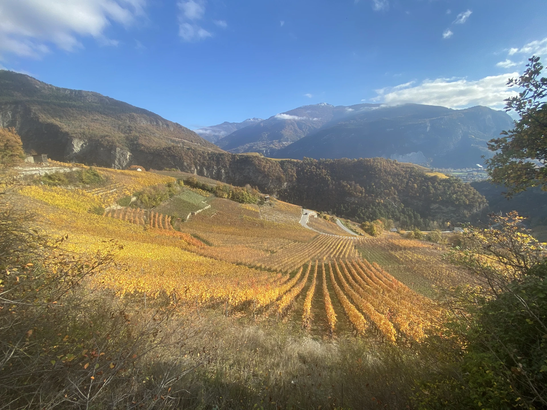 Autumn vineyards in Valais, Switzerland